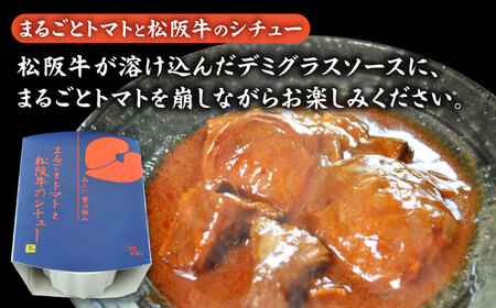 -あふひ 贅の極み- 近江牛・飛騨牛・松阪牛シチュー 3種セット 2人前×各1個セット / 恵那市 / テンポイント [AUEU038] シチュー