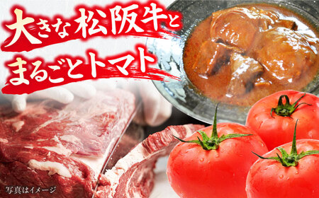 -あふひ 贅の極み- まるごとトマトと松阪牛のシチュー レトルト 2人前×2個セット / 恵那市 / テンポイント [AUEU029]