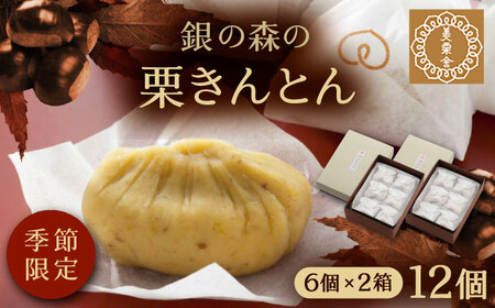 美栗舎の栗きんとん 計12個(6個×2箱) 銀の森[AUBG028]栗きんとん