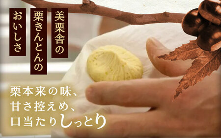 美栗舎の栗きんとん 計12個(6個×2箱) 銀の森[AUBG028]栗きんとん