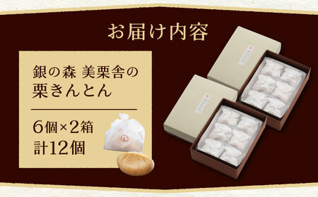 美栗舎の栗きんとん 計12個(6個×2箱) 銀の森[AUBG028]栗きんとん