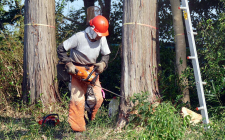 【年内配送】低温バイオ乾燥「郷山薪」24kg[AUFB001]薪