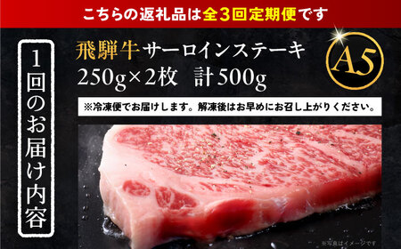 【3回定期便】 飛騨牛 サーロインステーキ (A5ランク) 250g×2枚 和牛 国産 霜降り 恵那市 / 岩島屋[AUAJ027]