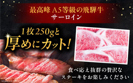 【6回定期便】 飛騨牛 サーロインステーキ (A5ランク) 250g×2枚 和牛 国産 霜降り 恵那市 / 岩島屋[AUAJ028]