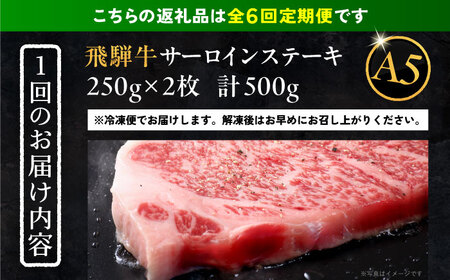 【6回定期便】 飛騨牛 サーロインステーキ (A5ランク) 250g×2枚 和牛 国産 霜降り 恵那市 / 岩島屋[AUAJ028]