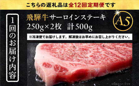 【12回定期便】 飛騨牛 サーロインステーキ (A5ランク) 250g×2枚 和牛 国産 霜降り 恵那市 / 岩島屋[AUAJ029]