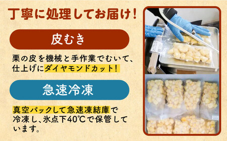 冷凍むき栗「日本栗」 計500g（250g×2P）/ 栗 くり 日本栗 むき栗 岐阜 恵那 / 恵那市 / えな笠置山栗園[AUAV005]