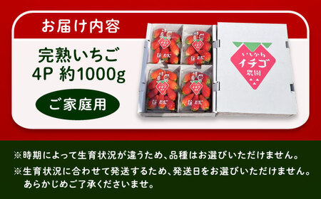 【先行予約】【2026年1月上旬から2026年3月上旬に順次発送】【ご家庭用】 完熟いちご 4パック入り [AUAH020]完熟いちご