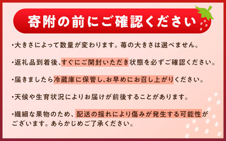 【先行予約】【2026年1月上旬から2026年3月上旬に順次発送】【ご家庭用】 完熟いちご 4パック入り [AUAH020]完熟いちご