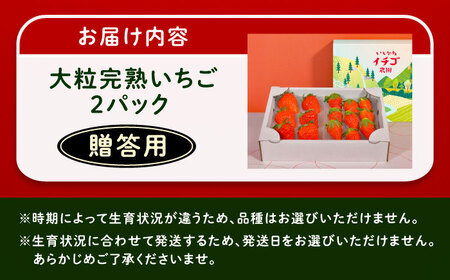 【先行予約】【2026年1月上旬から2026年3月上旬に順次発送】【贈答用】 完熟大粒いちご 2パック入り[AUAH021]完熟いちご大粒
