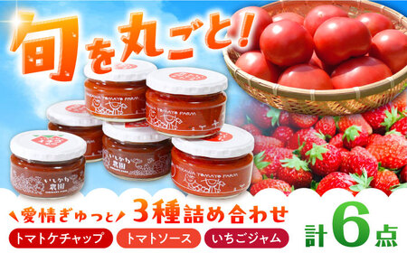 石川農園・愛情ぎゅっと詰め合わせセット [AUAH001]トマトソース