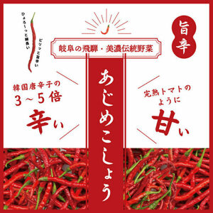 LGASIA  オリジナルスパイスAJIME 15g×2本 50g×2本 100g×2本 【スピード配送】/ 恵那市 / ＭＡＣ [AUDM032]