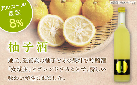柚子酒 梅酒 セット 各500ml / 恵那市 / 岩村醸造 [AUAK001] 柚子酒 梅酒