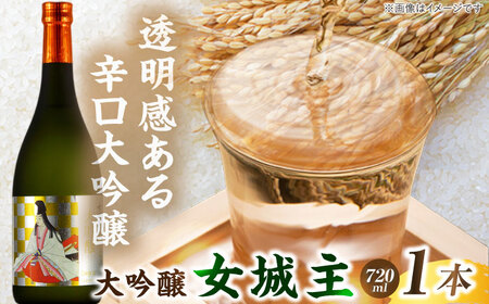 日本酒 女城主 大吟醸 720ml / 恵那市 / 岩村醸造 [AUAK003] 日本酒