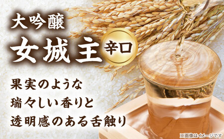 日本酒 女城主 大吟醸 720ml / 恵那市 / 岩村醸造 [AUAK003] 日本酒