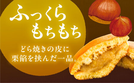 西の木の月（栗餡）10個入り / 恵那市 / 恵那寿や [AUAS026]