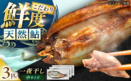 天然あゆ の一夜干し 中 3匹【スピード配送】/ 恵那市 / 恵那物産館 [AUFS001]
