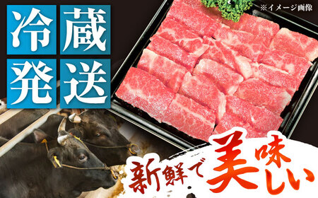 冷蔵だからうまい！飛騨牛 A5等級 バラ 焼肉用 300g[AUFX001]牛肉 黒毛和牛 国産 焼肉