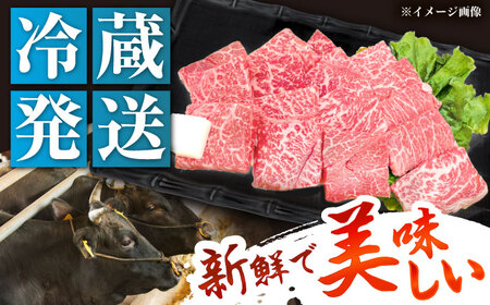 冷蔵だからうまい！飛騨牛 A5等級 もも 焼肉用 300g[AUFX004]牛肉 黒毛和牛 国産 焼肉