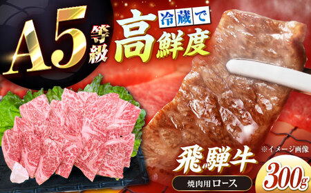 冷蔵だからうまい！飛騨牛 A5等級 ロース 焼肉用 300g[AUFX007]牛肉 黒毛和牛 国産 焼肉