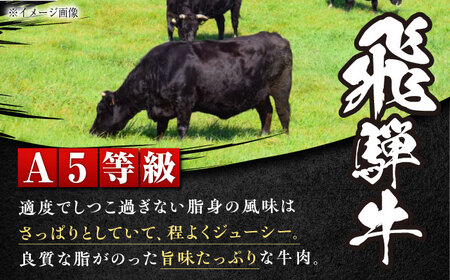 冷蔵だからうまい！飛騨牛 A5等級 ロース 焼肉用 1kg[AUFX009]牛肉 黒毛和牛 国産 焼肉
