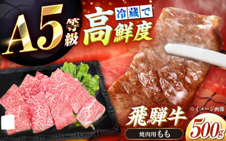 冷蔵だからうまい！飛騨牛 A5等級 もも 焼肉用 500g[AUFX005]牛肉 黒毛和牛 国産 焼肉