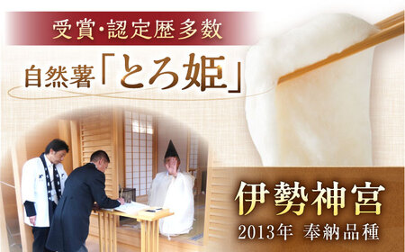 自然薯冷凍とろろ（180g×2）360g [AUFZ002]とろろ