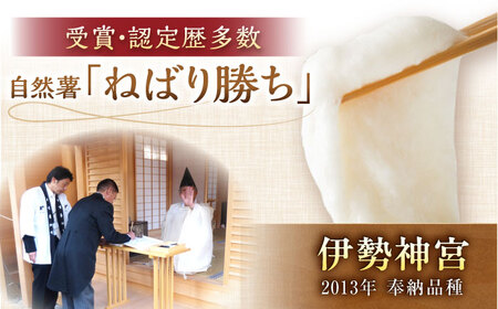 【伊勢神宮外宮奉納】自然薯『ねばり勝ち』 1本入 [AUFZ007]自然薯