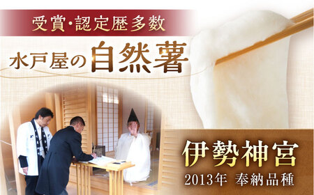 【贈答用】高級自然薯 桐箱入（800g）[AUFZ008]自然薯