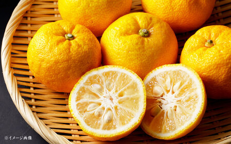 ポン酢（こいくち) 5本[AUAW009]ポン酢