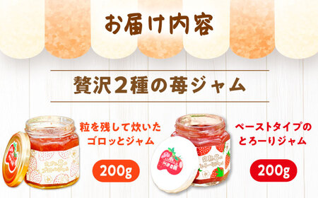 苺ジャム2種セット / 恵那市 / 阿部農園 [AUGA004]