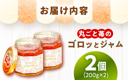 丸ごと苺のゴロッとジャム / 恵那市 / 阿部農園 [AUGA006]