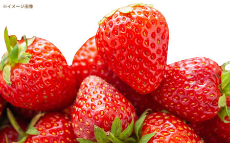 丸ごと苺のゴロッとジャム / 恵那市 / 阿部農園 [AUGA006]