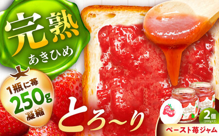 完熟苺のとろーりジャム / 恵那市 / 阿部農園 [AUGA007]