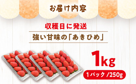 【先行予約】苺 あきひめ 250g×4パック[AUGA003]苺