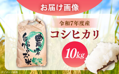 〈ふるさと納税限定！〉令和7年度産コシヒカリ 10キロ [AUCA004]コシヒカリ米