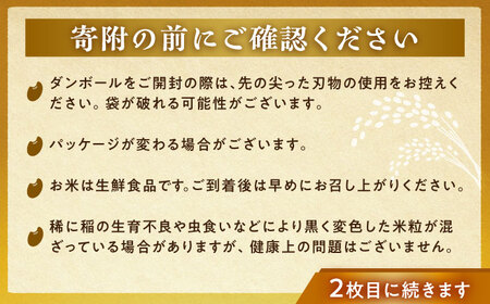 〈ふるさと納税限定！〉令和7年度産コシヒカリ 10キロ [AUCA004]コシヒカリ米
