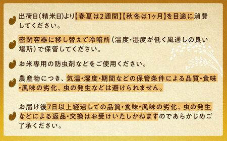 〈ふるさと納税限定！〉令和7年度産コシヒカリ 10キロ [AUCA004]コシヒカリ米