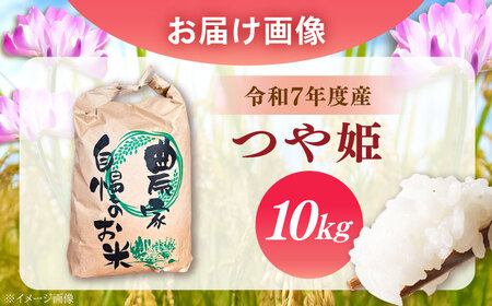 新米 つや姫 10kg【スピード配送】/ 恵那市 / トモファーム [AUCA006] 新米