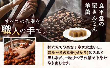 栗きんとん羊羹5入 / 恵那市 / 良平堂 [AUDB045]