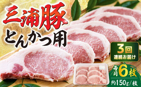 【3回定期便】 三浦豚 豚肉 ロース900ｇ（ステーキ / 恵那市 / あづま精肉店 [AUDL009]