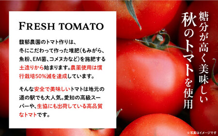 濃厚トマトジュースセット 4本入  [AUCK004]トマトジュース