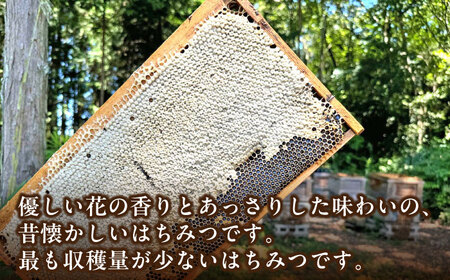 恵那蜂蜜 3本 ギフト箱入りセット[AUDF014]はちみつ