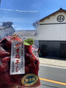国産 小粒梅干し 計900g 180g×5袋 (天日干し・減塩・無添加) / 梅干し 梅干し 梅干し 梅干し 梅干し 梅干し 梅干し 小粒 / 恵那市 / マルコ醸造 [AUCT008]