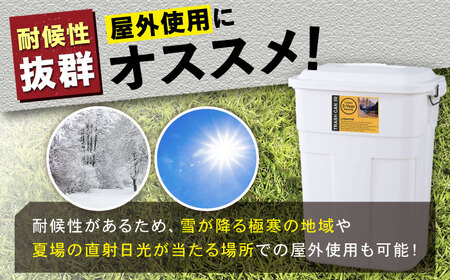 ゴミ箱 ふた付き 30L 2個組  ブラウン /  恵那市 / 東谷 [AUAD068]