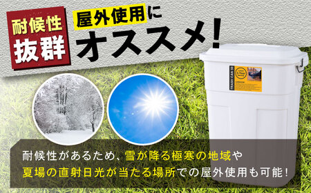 トラッシュカン ゴミ箱 ふた付き 50L グリーン[AUAD071]