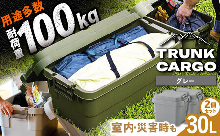 トランクカーゴ グレー Sサイズ 2個組[AUAD029]スタックボックス 収納 ボックス コンテナ
