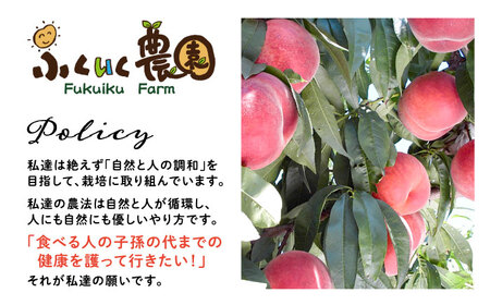 桃ジュース4本セット [AUCK003]桃ジュース