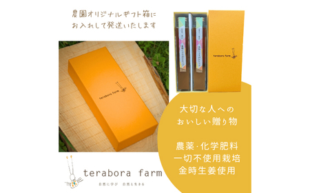 こだわり金時しょうがシロップ 200ml×2本 ギフトセット [AUDZ001]金時しょうが
