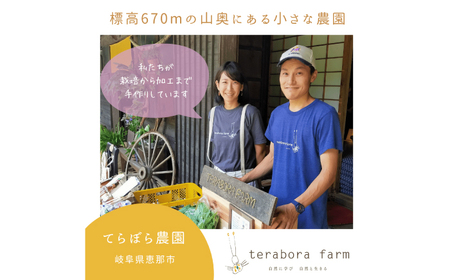 こだわり金時しょうがシロップ 200ml×2本 ギフトセット [AUDZ001]金時しょうが